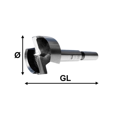 Fisch Forstnerbohrer 0310