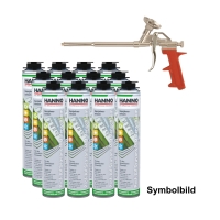 Pistolenschaum Profi All Seasons (Ganzjahresschaum) - Set